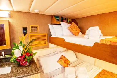 Каюта Deluxe Stateroom на Atlantis Adventurer — двуспальная кровать и полка вторым ярусом