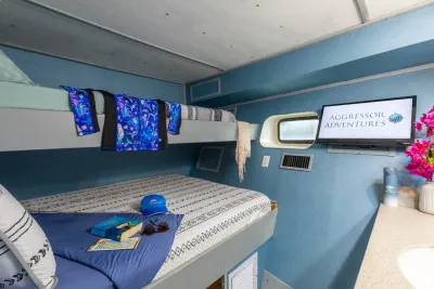 Deluxe cabin on Belize Aggressor III — double bed and upper bunk by the porthole