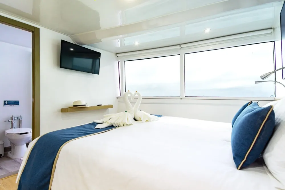 Main deck cabin on Calipso — bed by the panoramic window and bathroom door