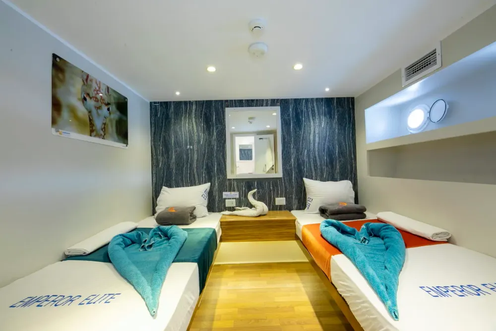 Lower Deck Twin — cabin photo