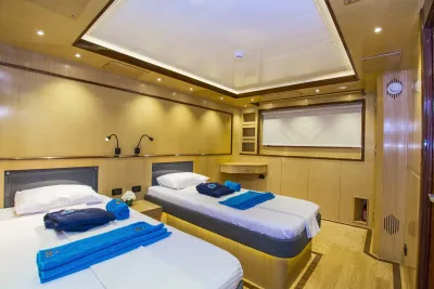 Каюта основной палубы Golden Dolphin IV — раздельные кровати и окно
