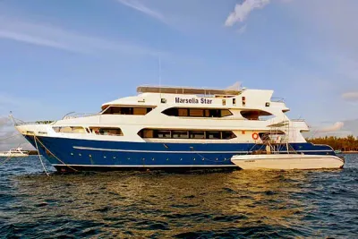 Marselia Star