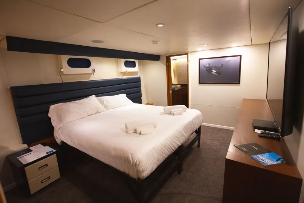 Premium Suite на Nautilus Gallant Lady — широкая кровать и телевизор