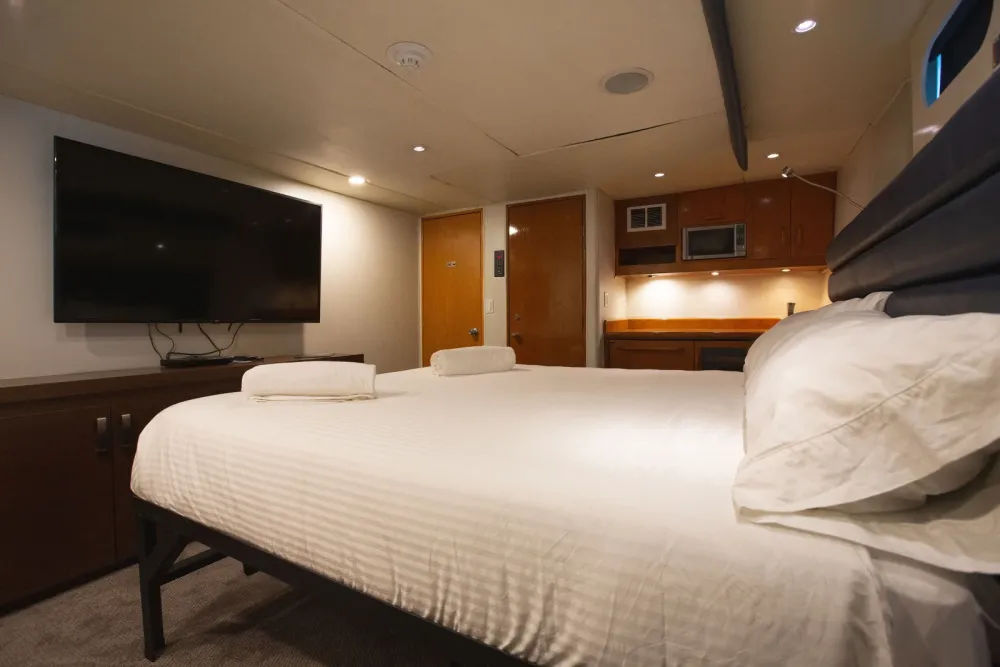Premium Suite с рабочей зоной и мини-кухней