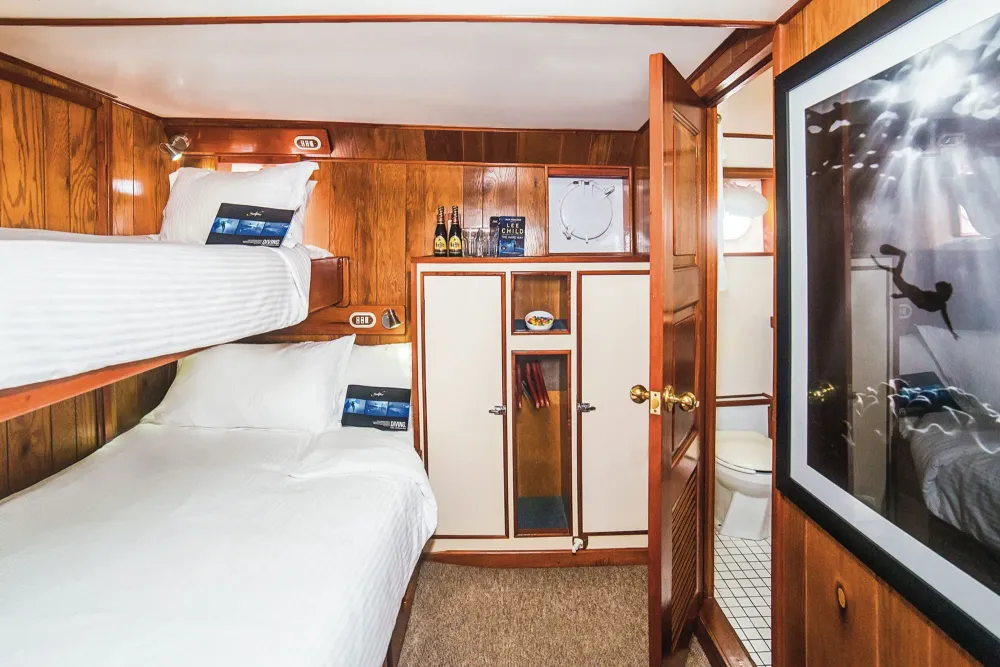 Открытая дверь в собственный санузел каюты Stateroom