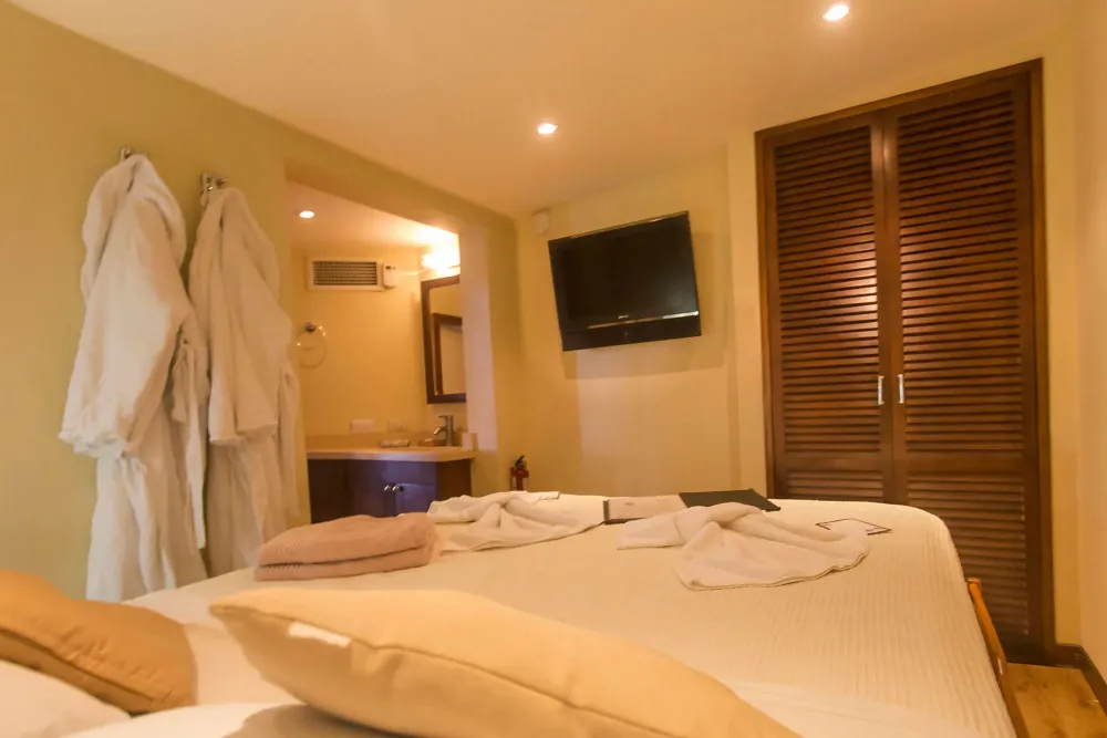 Master Deluxe stateroom on Okeanos Aggressor II — queen bed, bathrobes and television