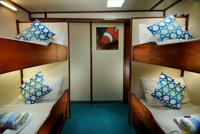 Standard Twin cabin on the lower deck of Pacific Master — single bunks and a clownfish print