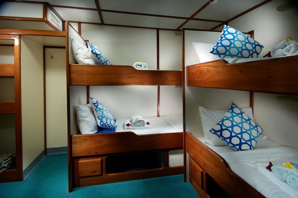 Bunk beds in a Standard Twin cabin on Pacific Master