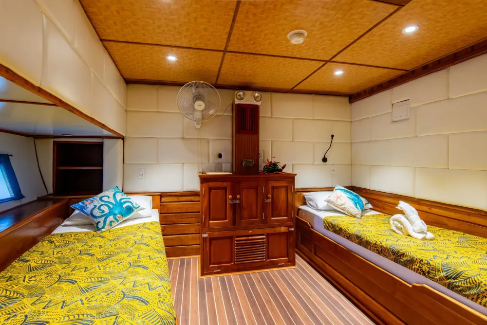 Каюта Premium Twin на Palau Siren — вид от двери, деревянный подволок