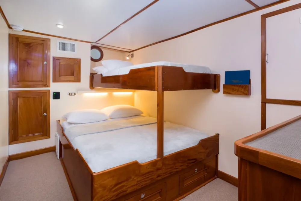 Lower deck Twin/Double on Sea Hunter — double bed with upper berth