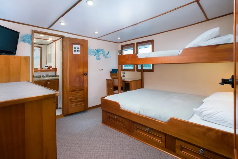 Sea Hunter suite with an extra upper berth and windows onto the deck