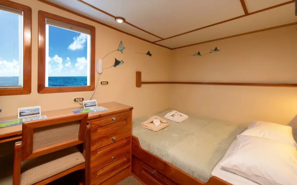 Hand-painted rays on the wall of a Sea Hunter suite