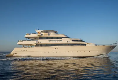 Sea Serpent Contessa/Contessa Mia