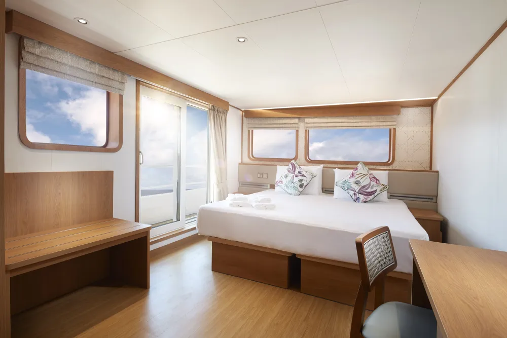 Stateroom 301 on Solitude Gaia — double bed and panoramic windows