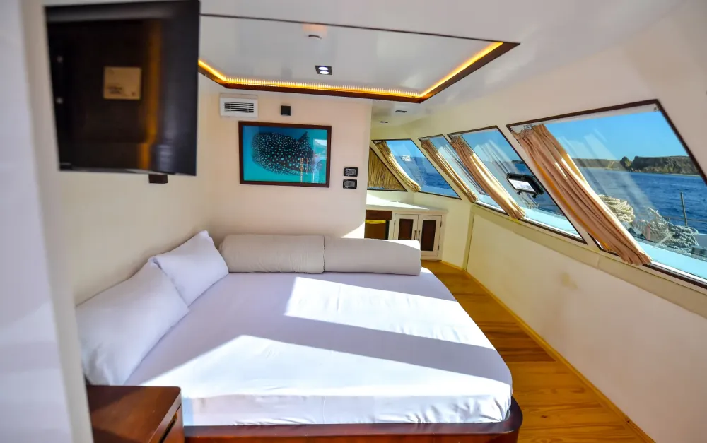 Suite on South Moon 1 — queen-size bed along the panoramic windows