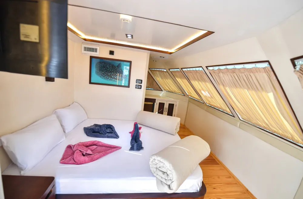 Upper deck suite — queen bed and curtained windows