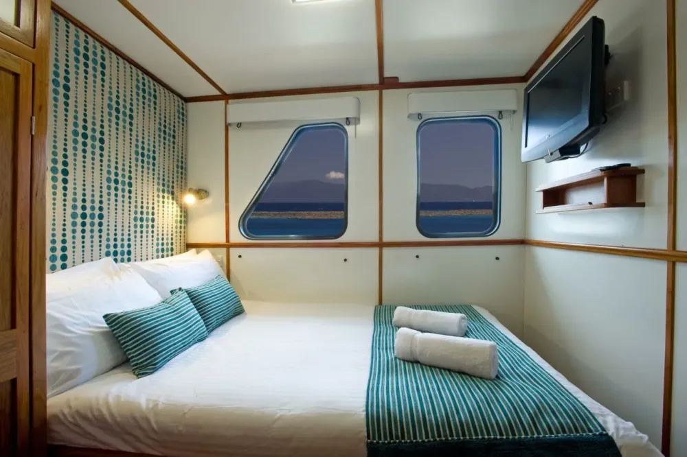 Ocean View Standard cabin on Spirit of Freedom — double bed and flat-screen TV