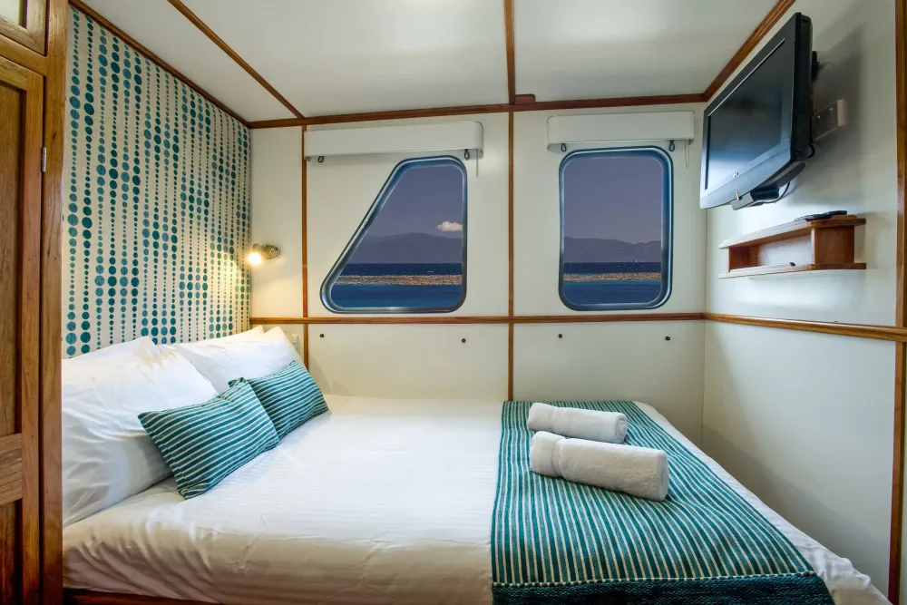 Ocean View Standard on Spirit of Freedom — sea-facing windows above the bed