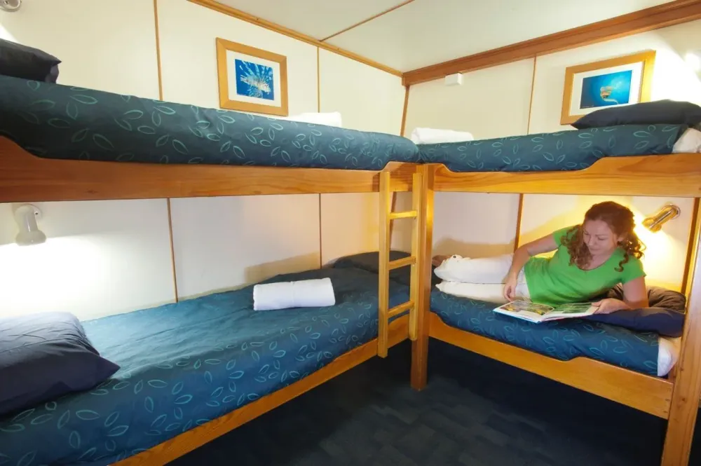Quad Share cabin on Spirit of Freedom — four bunk-style berths