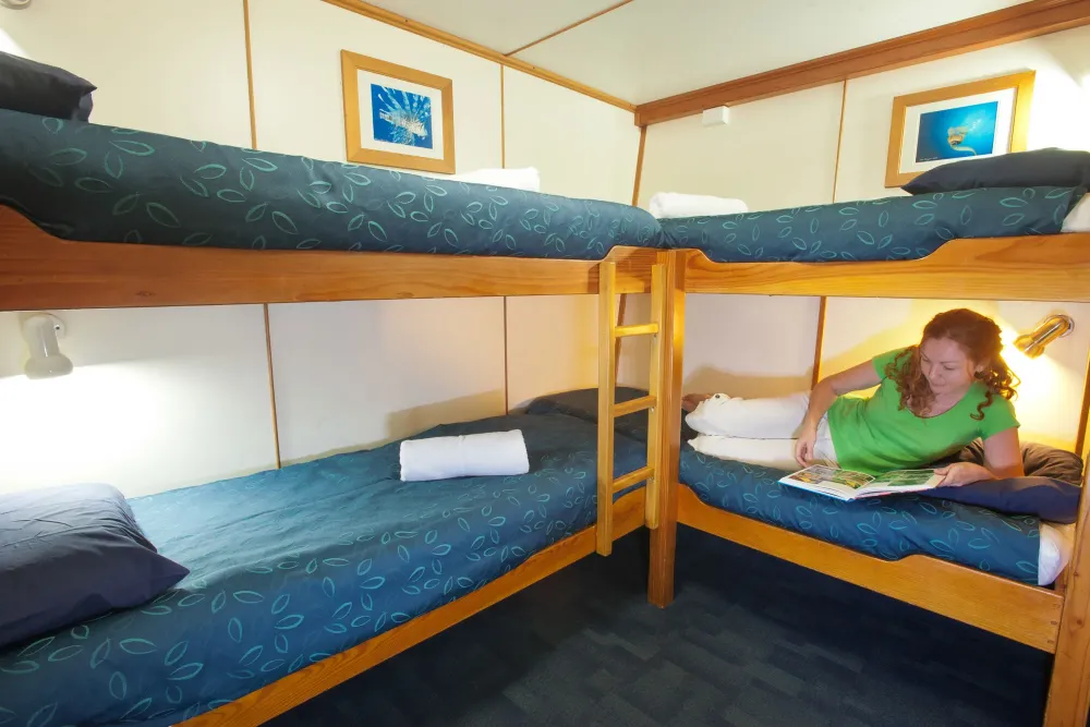 Quad Share on Spirit of Freedom — upper bunk and reading light