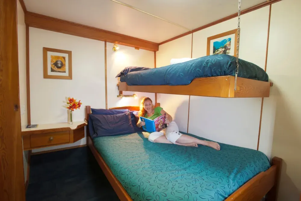 Standard Double / Twin Share cabin on Spirit of Freedom — double bed with a bunk above