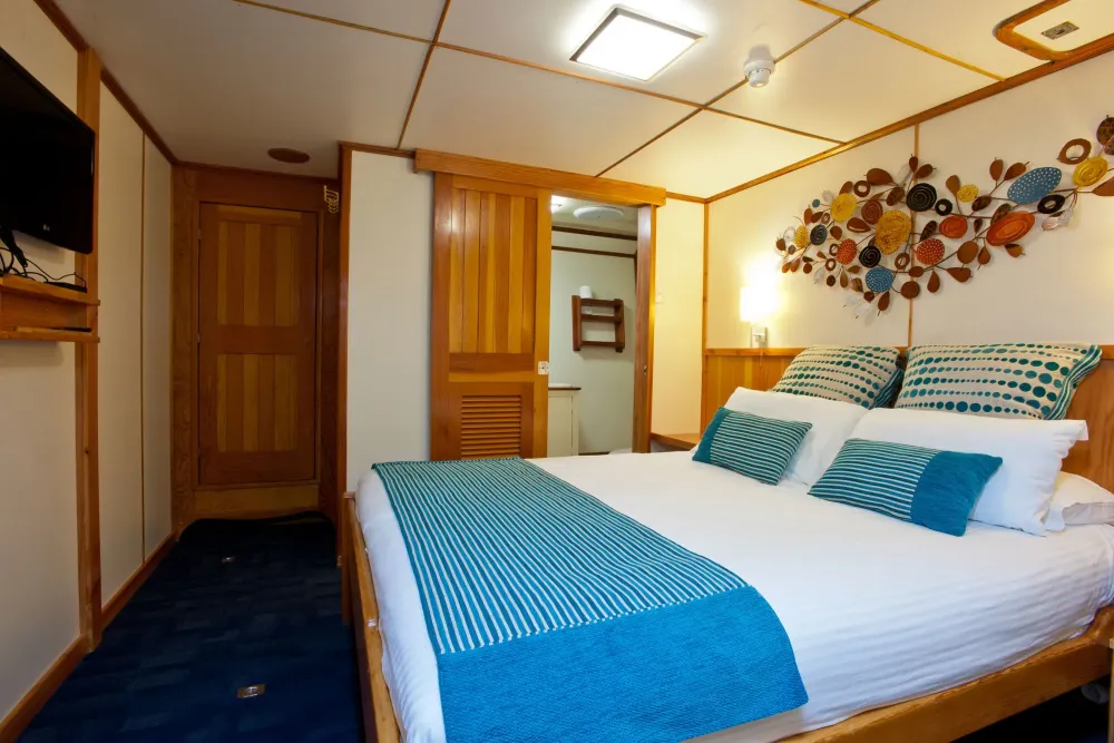 Stateroom on Spirit of Freedom — timber joinery and artwork above the headboard