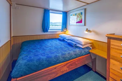 Spoilsport premium cabin — double bed beneath a window looking out at the coast