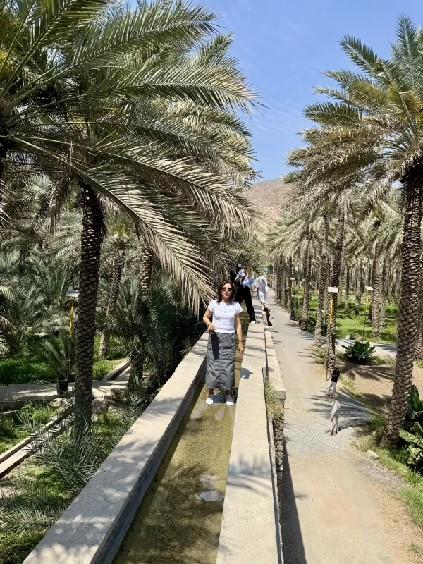 Palm-lined path along a stone channel — mountains behind