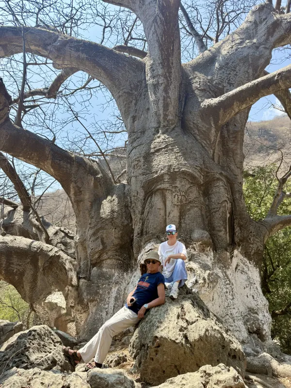 Baobab tree — two people at the foot of the giant
