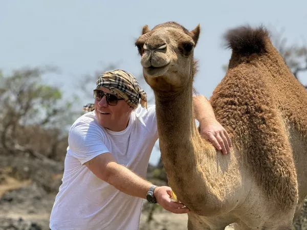 Face to face with a camel — who tamed whom