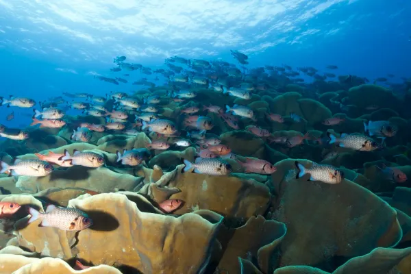 Palau, May 2025
