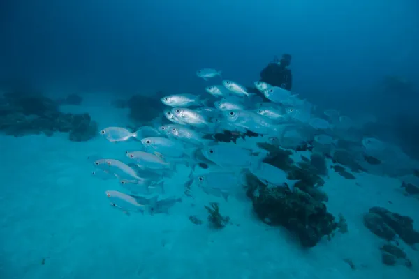 Palau, May 2025