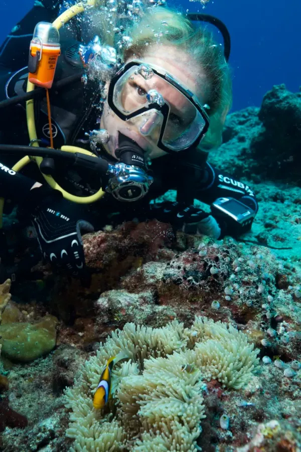 Palau, May 2025