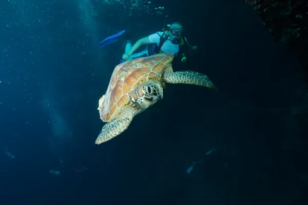 Palau, May 2025