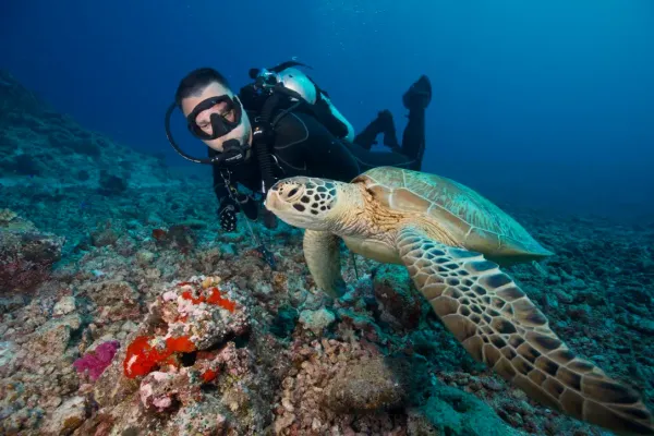 Palau, May 2025