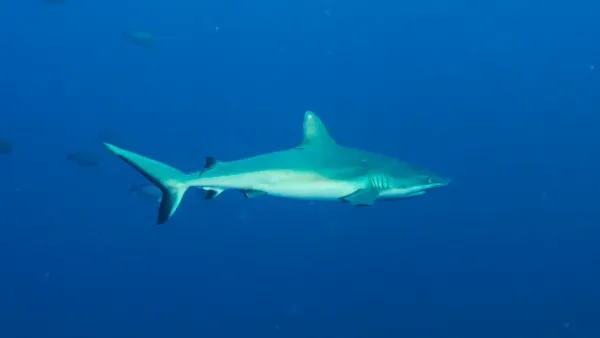 Palau, May 2025