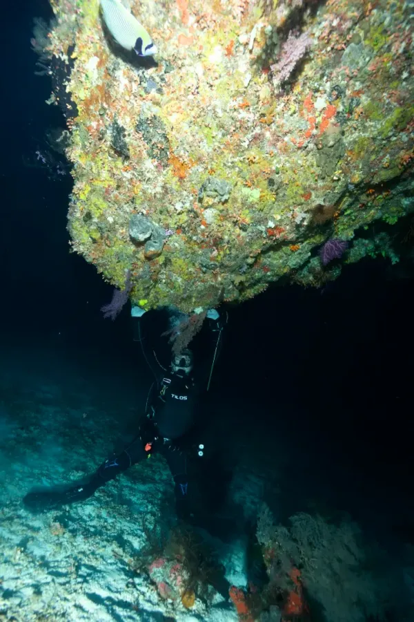 Palau, May 2025