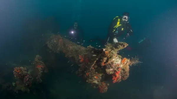 Palau, May 2025