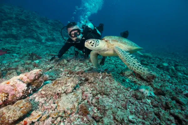 Palau, May 2025