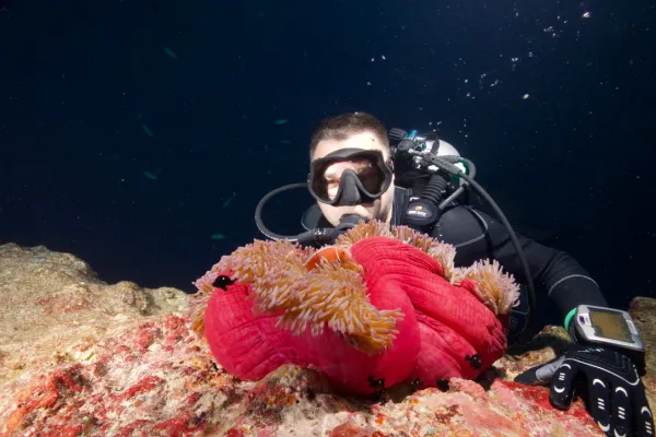 Palau, May 2025