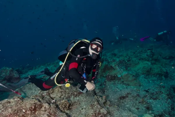 Palau, May 2025