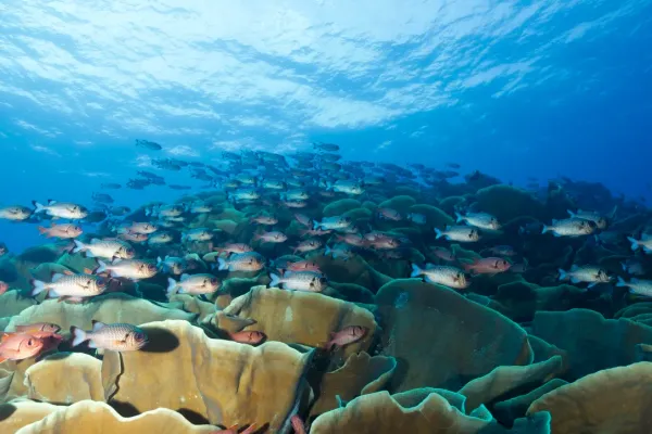Palau, May 2025