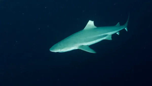 Palau, May 2025