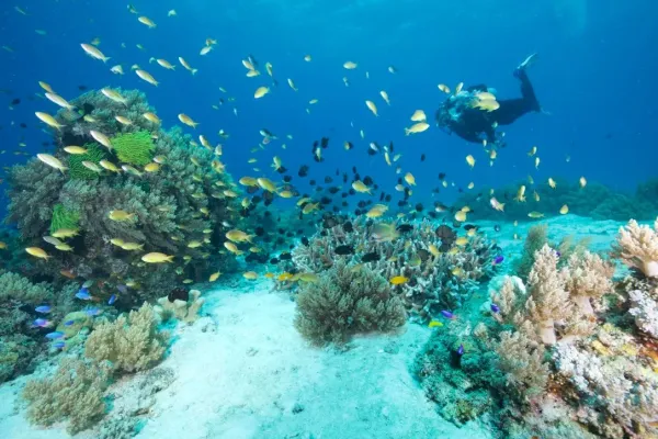 Philippines, May 2025