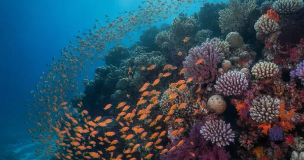 Самое солёное море в мире