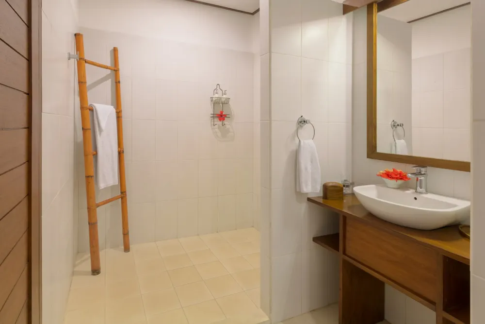 Garden View Room bathroom with a walk-in shower