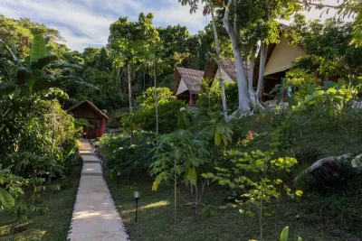Path to the glamping tents