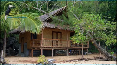 Robinson Crusoe Cottage — дом со стороны пляжа Калитанг