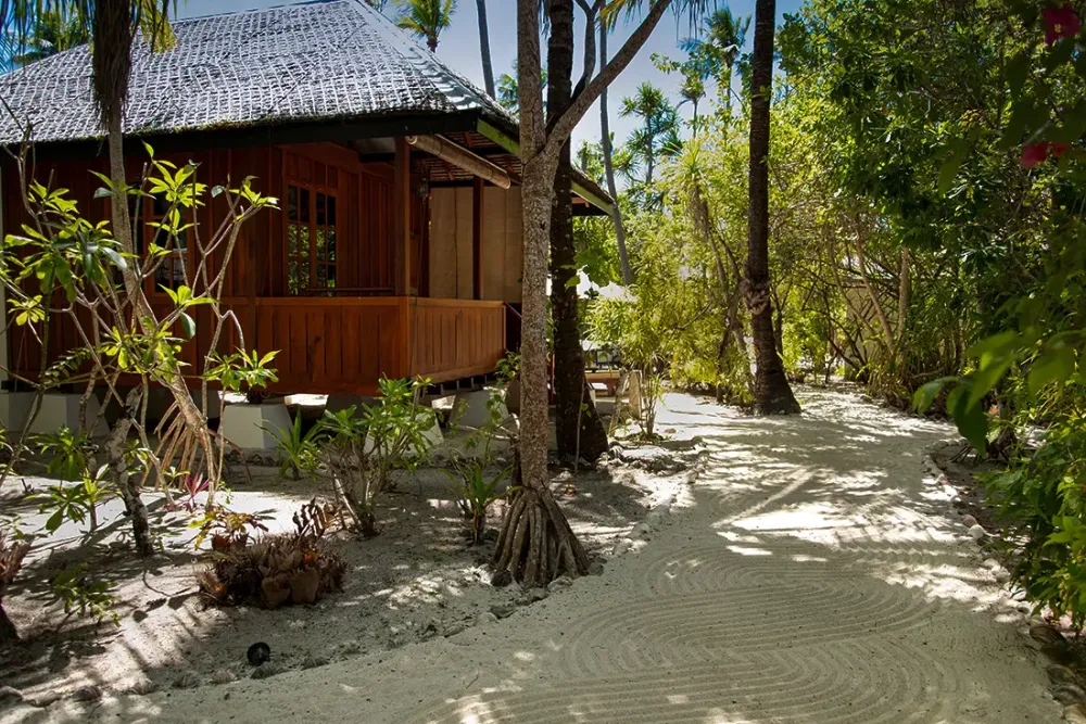 Palm Bungalow среди пальм в Wakatobi Dive Resort