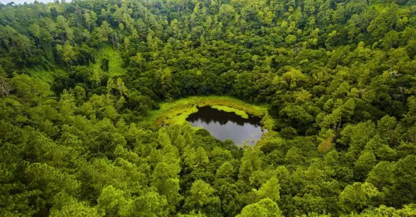 Кратер спящего вулкана Trou aux Cerf